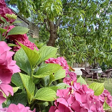 Picos De Europa Suites And Rooms Турьено Экстерьер фото