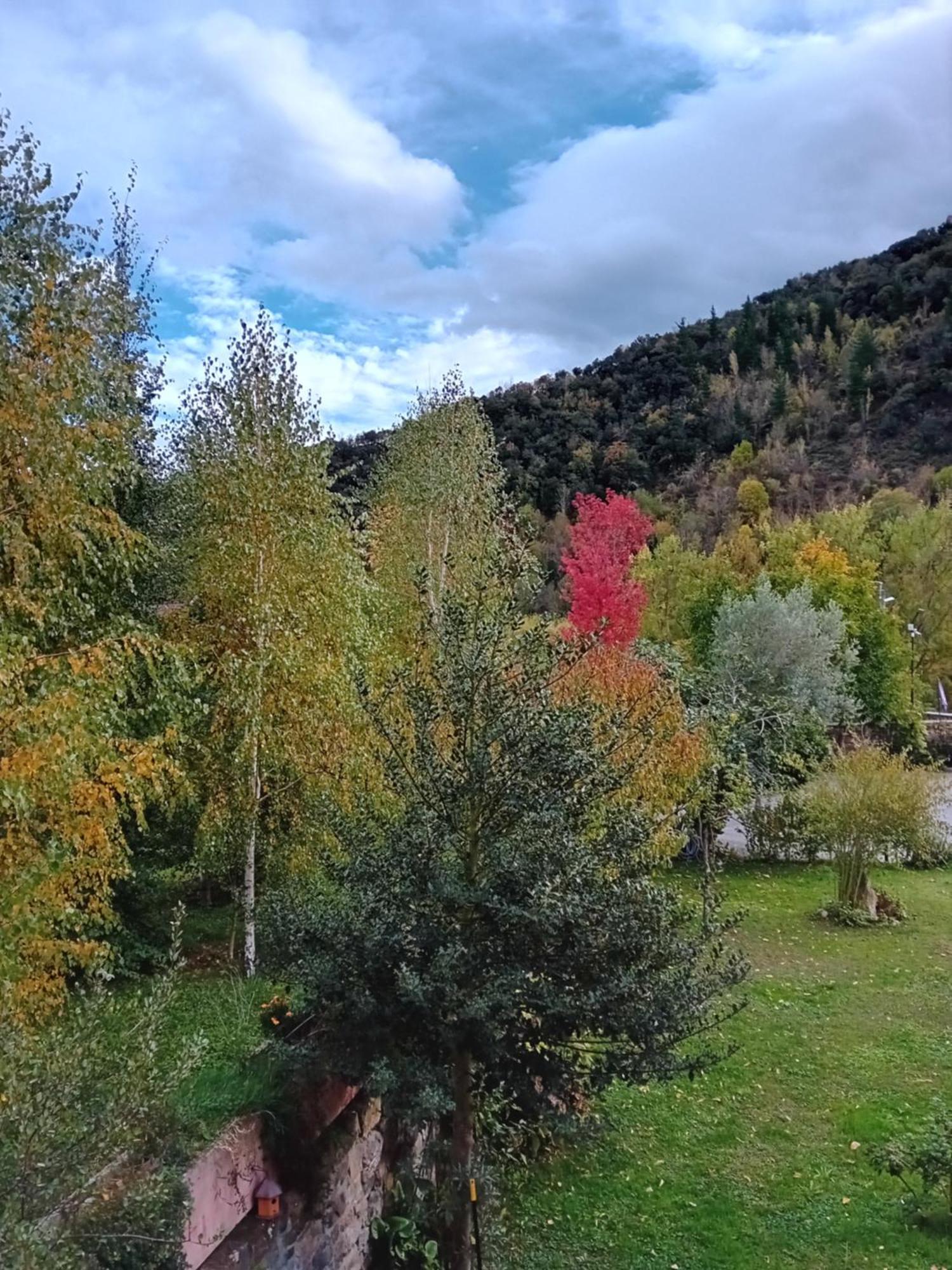Picos De Europa Suites And Rooms Турьено Экстерьер фото
