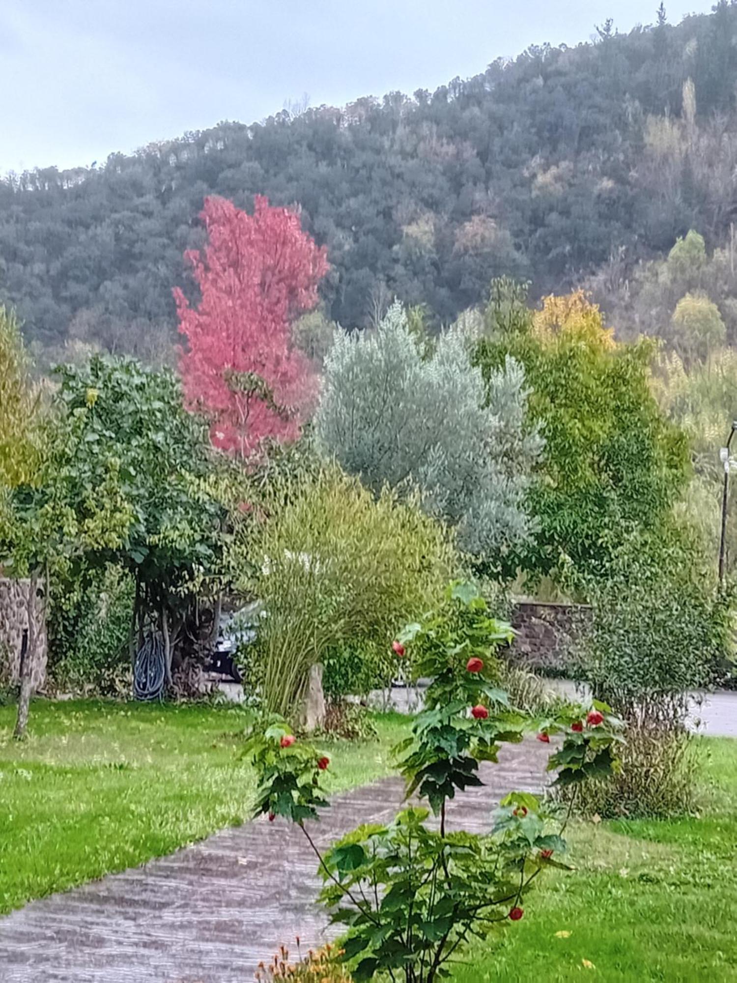 Picos De Europa Suites And Rooms Турьено Экстерьер фото