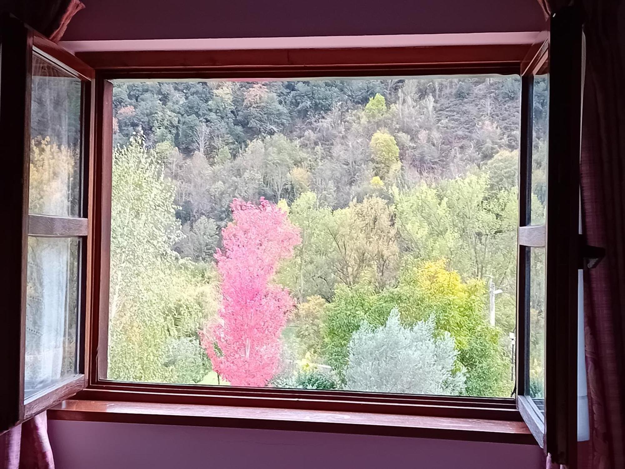 Picos De Europa Suites And Rooms Турьено Экстерьер фото