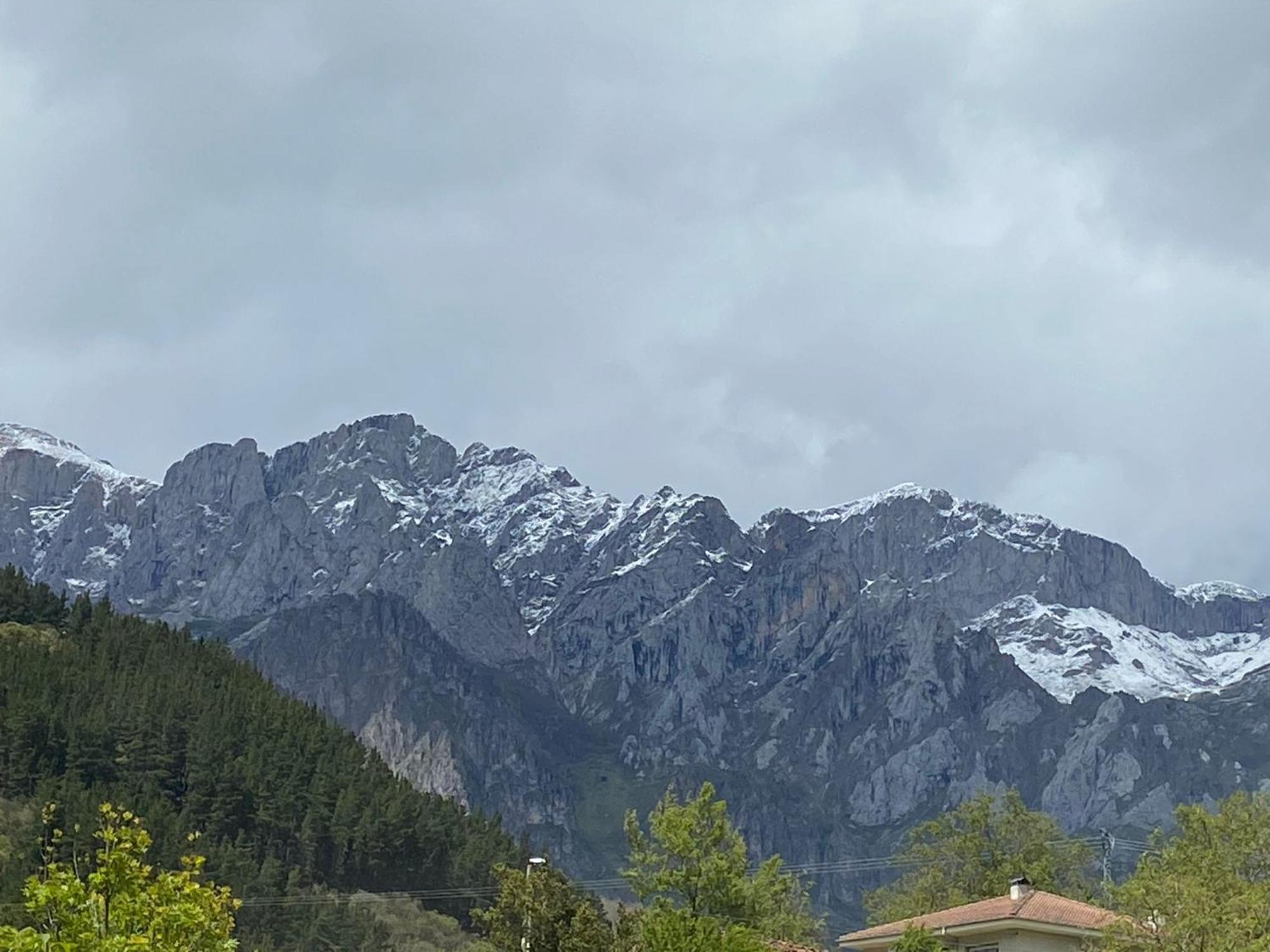 Picos De Europa Suites And Rooms Турьено Экстерьер фото