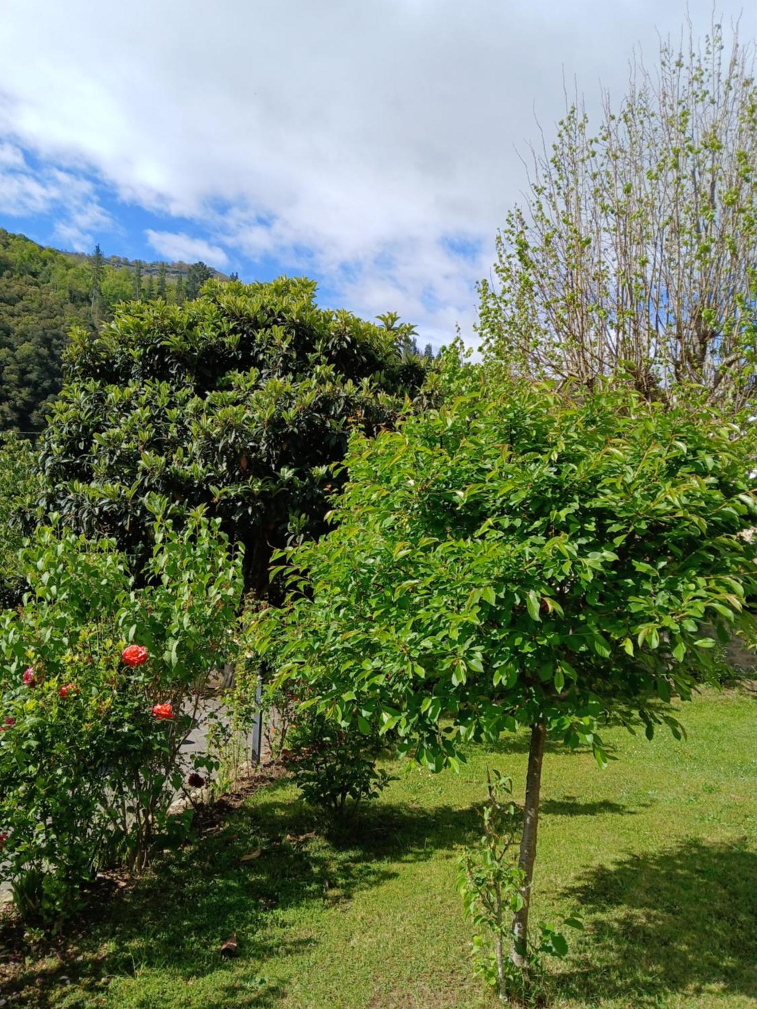 Picos De Europa Suites And Rooms Турьено Экстерьер фото