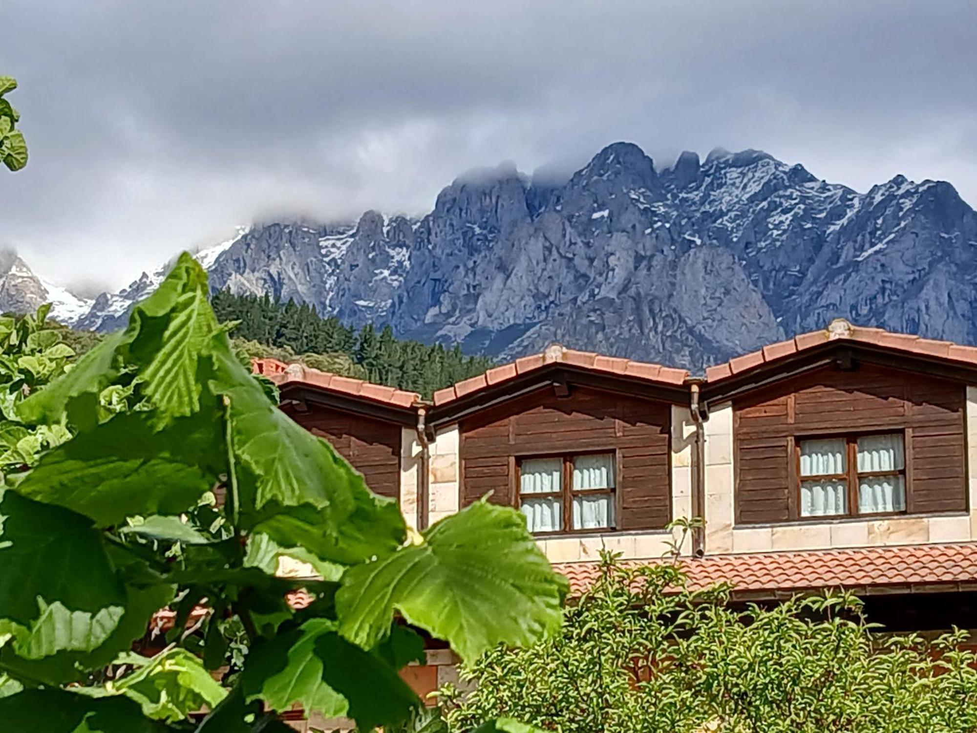 Picos De Europa Suites And Rooms Турьено Экстерьер фото