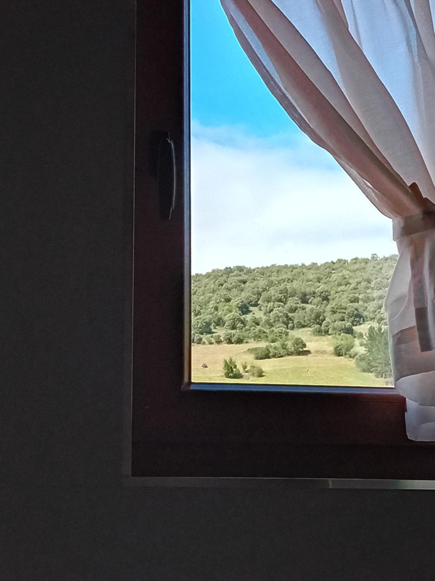 Picos De Europa Suites And Rooms Турьено Экстерьер фото