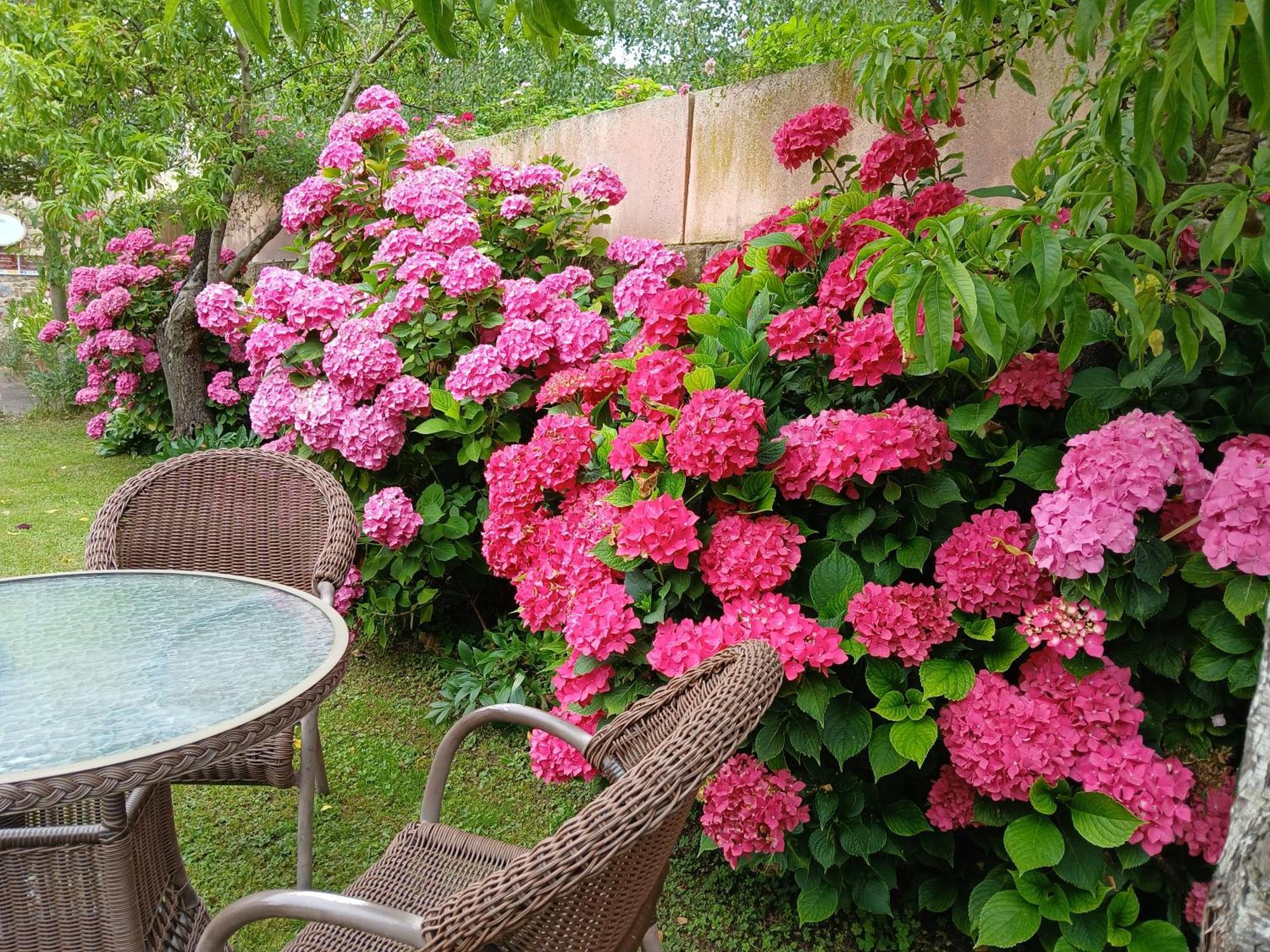 Picos De Europa Suites And Rooms Турьено Экстерьер фото