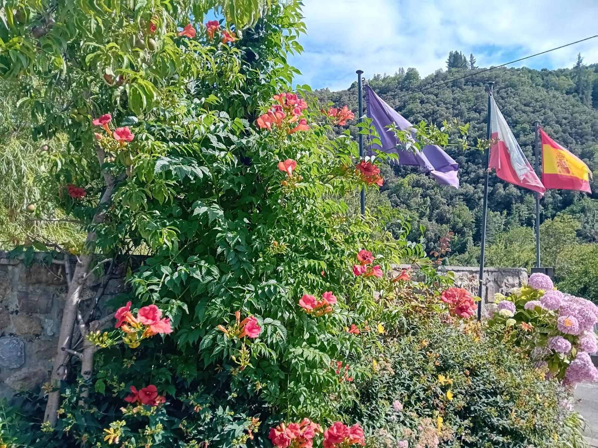 Picos De Europa Suites And Rooms Турьено Экстерьер фото