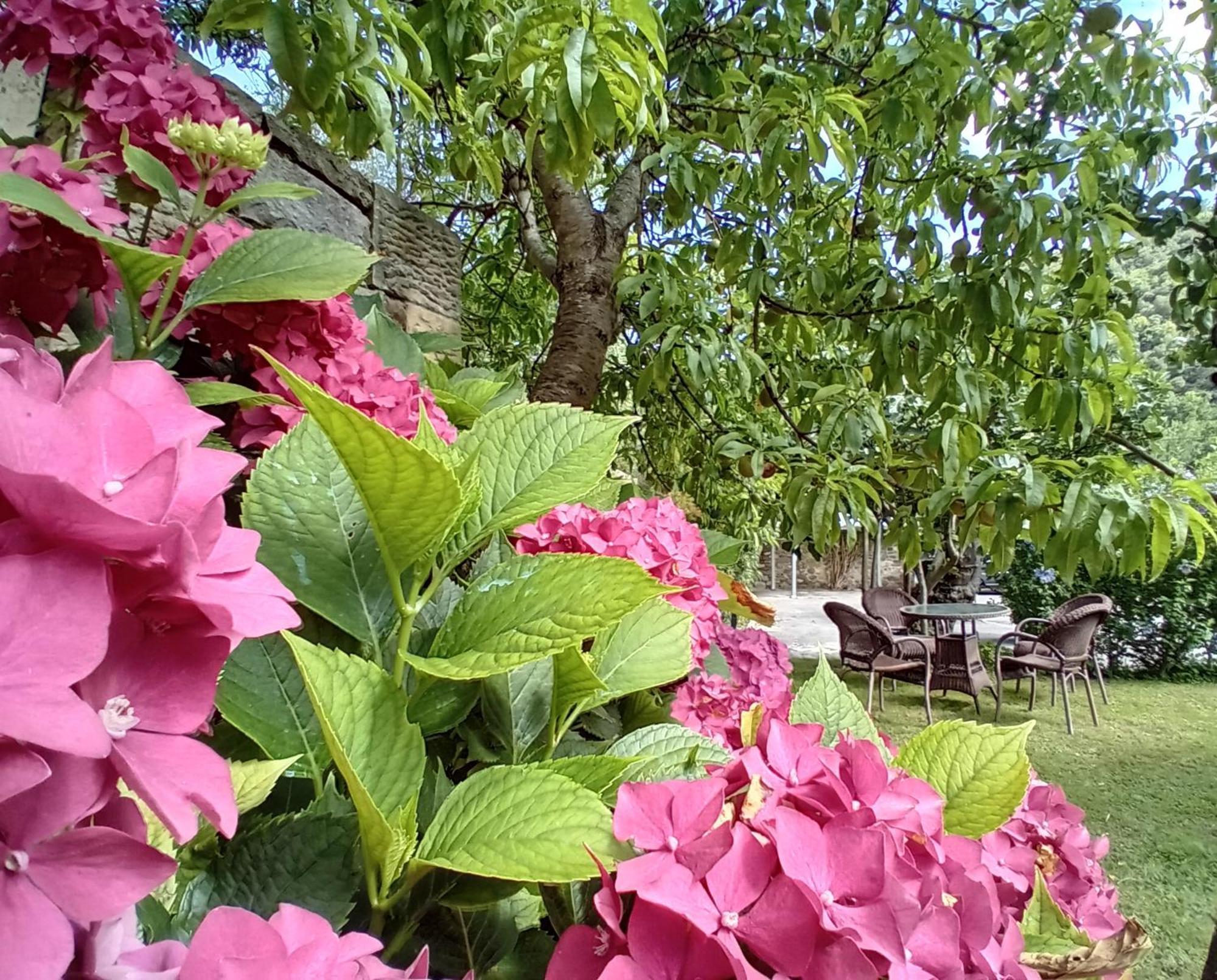 Picos De Europa Suites And Rooms Турьено Экстерьер фото