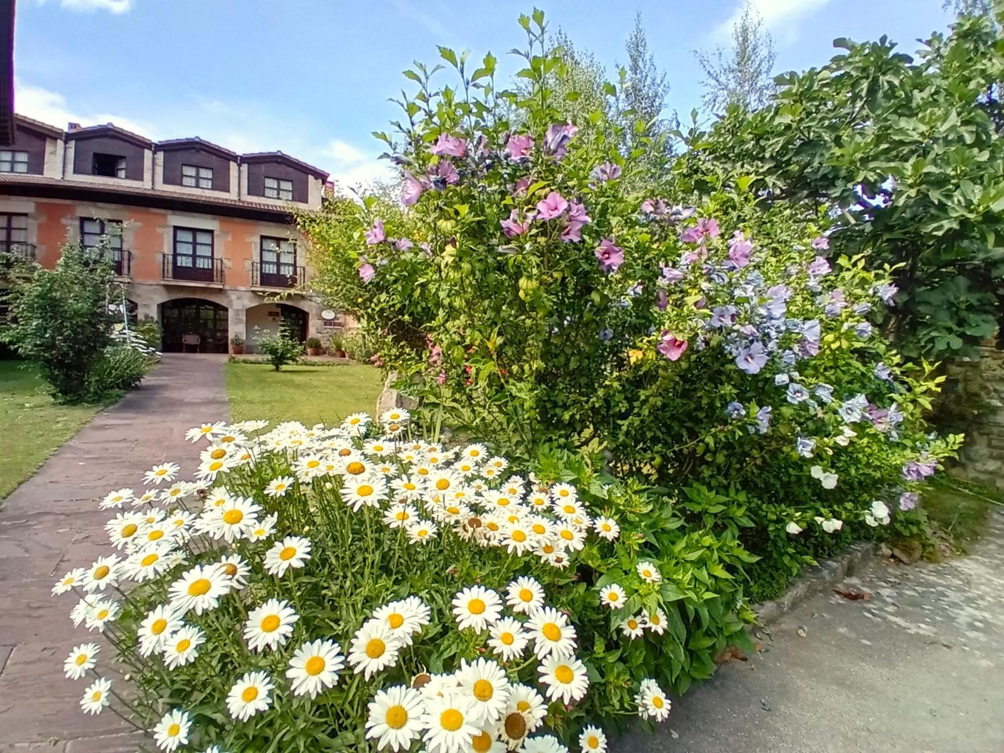 Picos De Europa Suites And Rooms Турьено Экстерьер фото